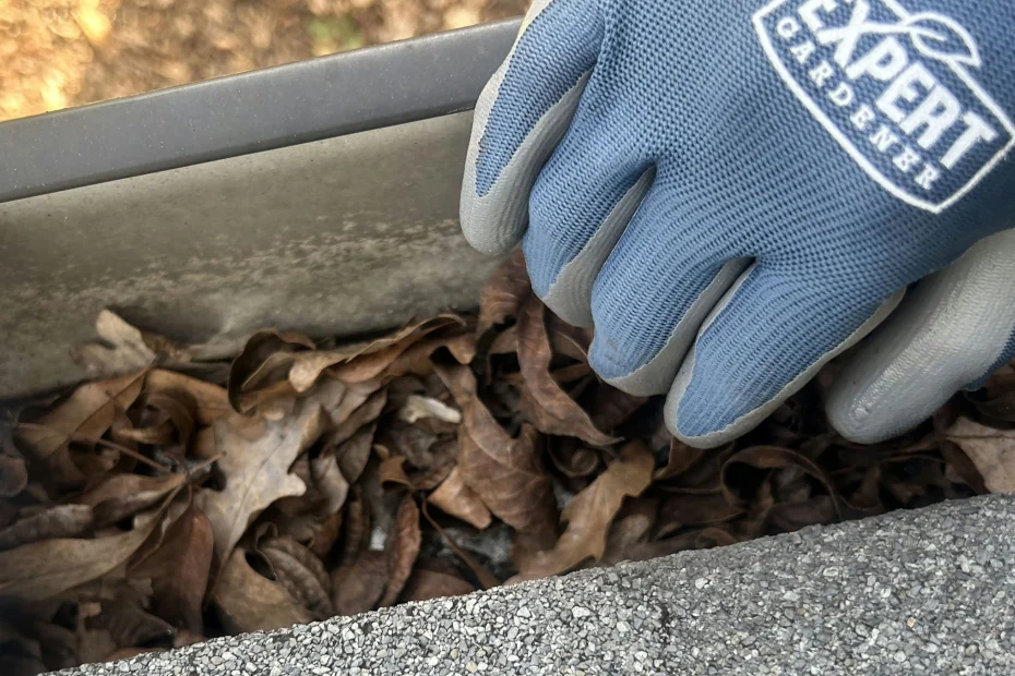 Gutter Cleaning Lawrenceville GA