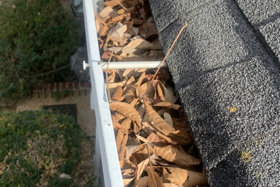 Gutter Cleaning Lawrenceville GA